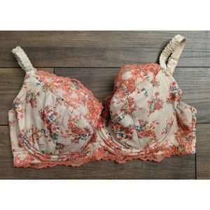 Bradelis Step 2 Bra Size 36F